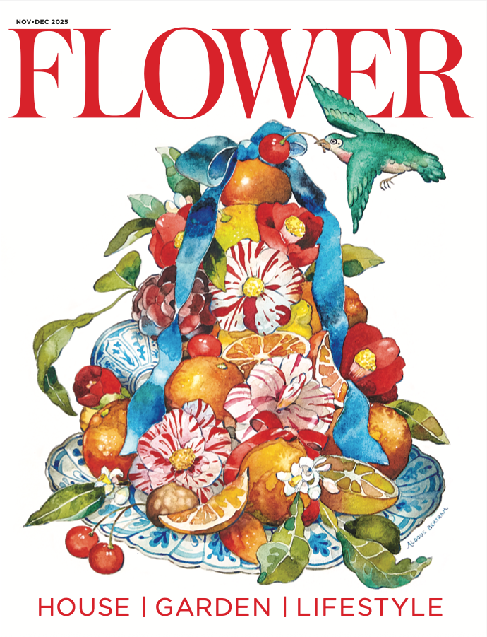 FLOWER Magazine - November/December 2025